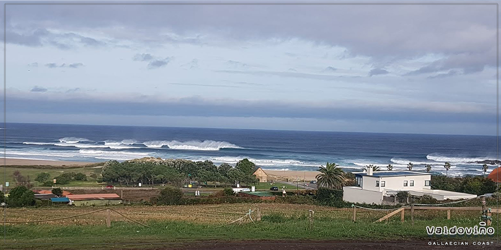 A Frouxeira